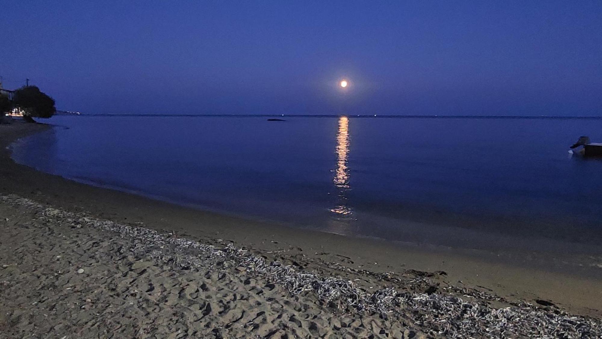 Fotis Beach Apartment At Komi Komi  Buitenkant foto